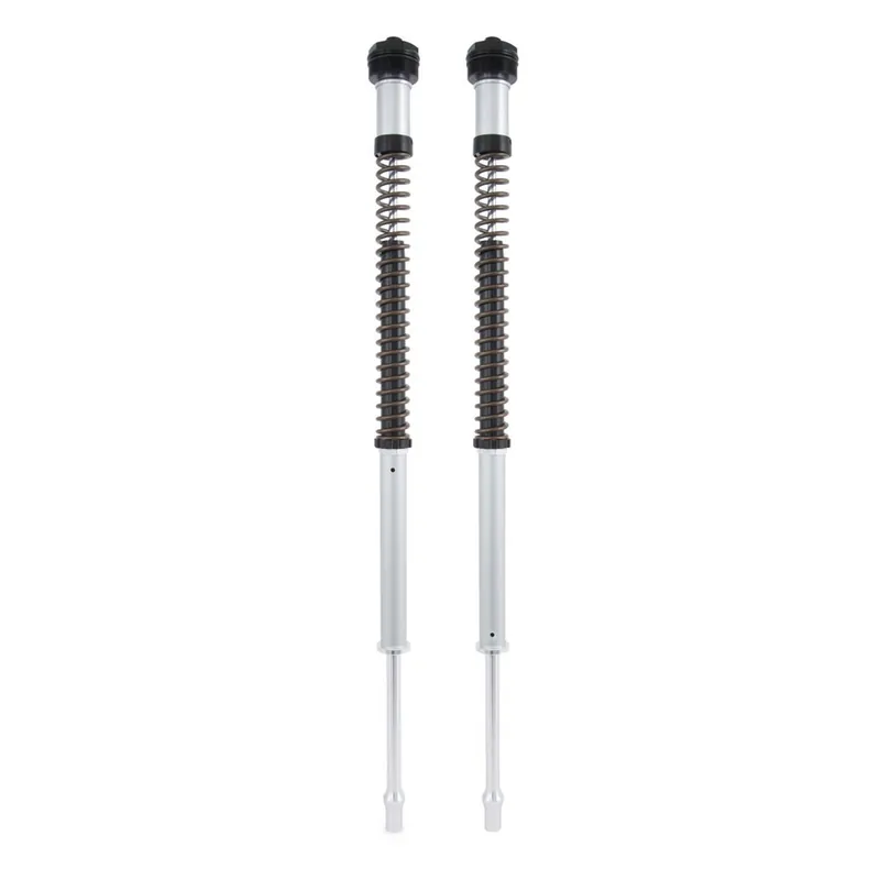 Ultime Pezzi Cartuccia Ohlins NIX 22mm FKS209 ER-6 N/F Z 650-