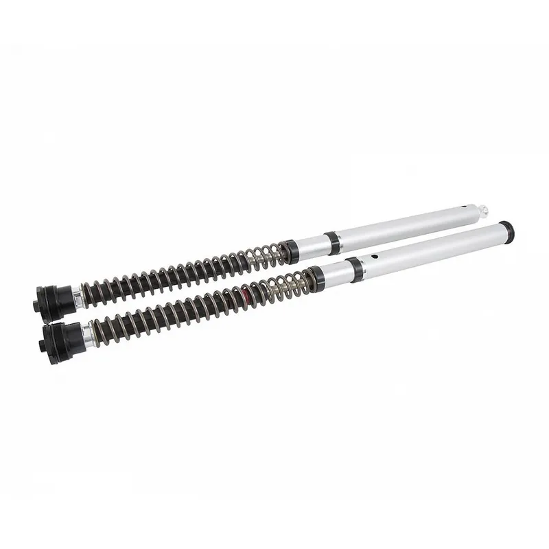Cartuccia Ohlins 30mm FKS505 R Nine T- Subito Disponibile
