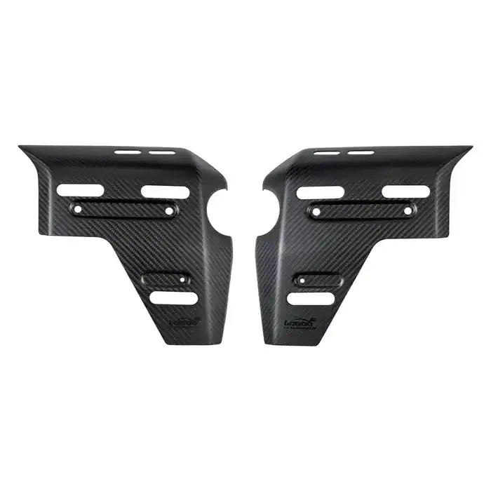 Professionale Cover Radiatore Loboo R1300 GS ADV carbonio opaco-