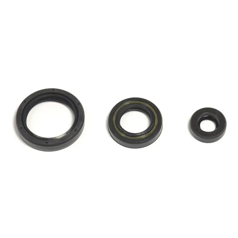 Popolare Kit Serie paraoli motore HUSQVARNA TE-TXC 250 10-14-