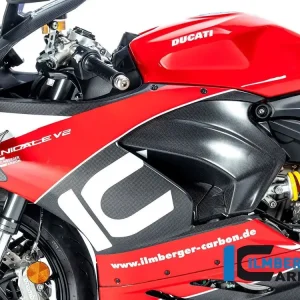 Offerta CARENA LATERALE SINISTRA PREFORATA CARBONIO OPACO ILMBERGER DUCATI PANIGALE V2 2020-2024-