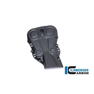 Ordina Subito COVER DISTRIBUZIONE VERTICALE OPACA CARBONIO ILMBERGER DUCATI MONSTER 1200 R 2016-2019-