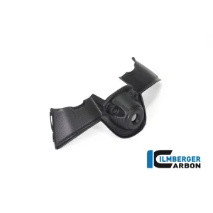 COVER ACCENSIONE OPACA CARBONIO ILMBERGER DUCATI PANIGALE V4 R 2019-2024- Spedizione Gratuita