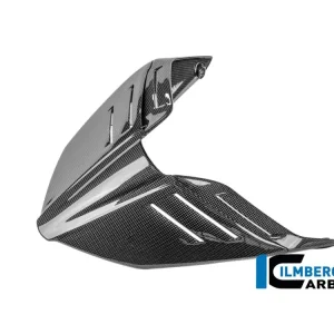 Offerta SELLA MONOPOSTO CARBONIO LUCIDO ILMBERGER DUCATI STREETFIGHTER V4 2025-2026-
