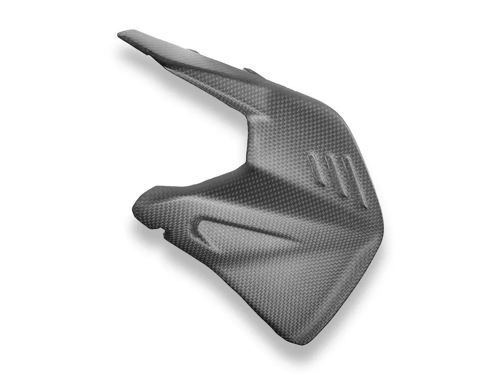 Subito Disponibile PROTEZIONE FORCELLONE CARBONIO OPACO DBK DUCATI STREETFIGHTER V4 / S 2025-