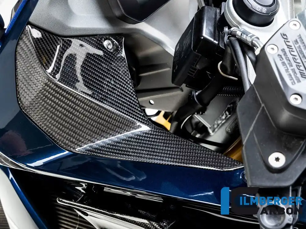 COVER STRUMENTAZIONE CARBONIO SINISTRA ILMBERGER BMW R 1250 RS (LC) 2019- Spedizione Gratuita