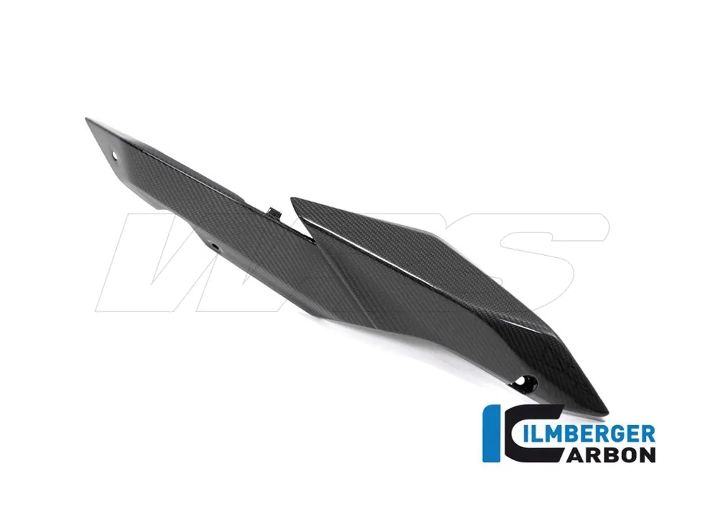 CODINO LATO DESTRO CARBONIO ILMBERGER BMW R 1250 R (LC) 2019-2023- Offerta