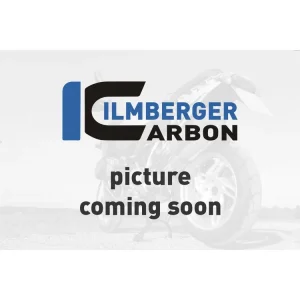 Miglior Prezzo COVER ALTERNATORE LUCIDA CARBONIO ILMBERGER DUCATI PANIGALE 1299 2015-2018-