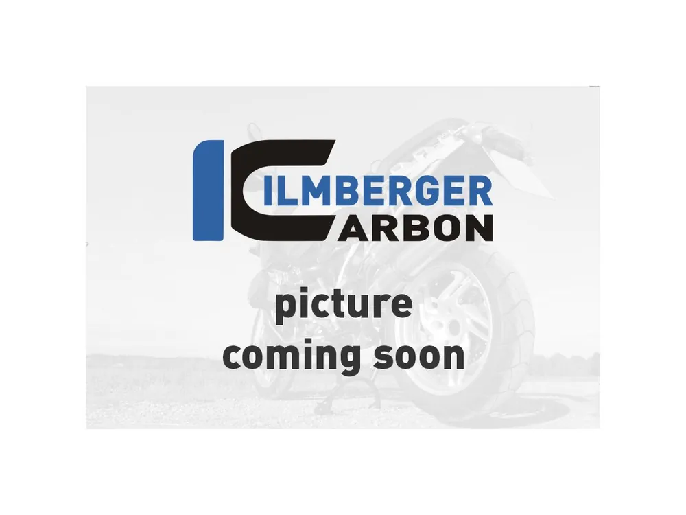 Miglior Prezzo COVER ALTERNATORE LUCIDA CARBONIO ILMBERGER DUCATI PANIGALE 1299 2015-2018-