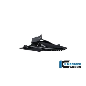 Promo Stagionale CODINO MONOPOSTO SINISTRA CARBONIO ILMBERGER BMW S 1000 RR 2017-2018 STRADA-
