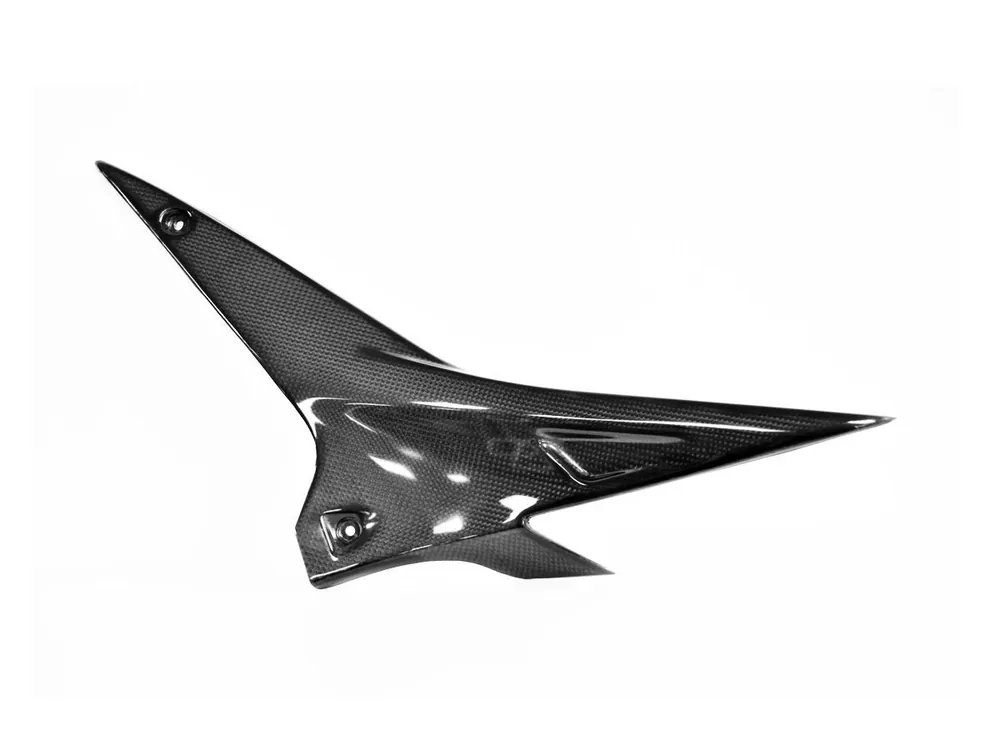 COPPIA FIANCHETTI RADIATORE CARBONIO LUCIDO LIGHTECH APRILIA TUONO V4 1100 FACTORY 2021-2022- Spedizione Gratuita
