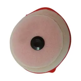 Soddisfatti O Rimborsati Filtro Aria HONDA 403651815