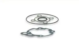 BUSTA GUARNIZIONI completa per gruppo termico Ø 40,3 (per motori Minarelli AM 3 > 6) - MALOSSI 1111190 Spedito Oggi