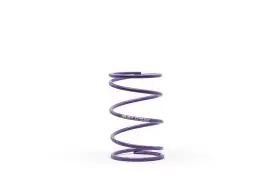 Compra Oggi Stesso MOLLA CONTRASTO VARIAT VIOLA (Ø esterno 57,80x91 mm - Ø filo 4,0 mm - k 5,5) - MALOSSI 298324.V0