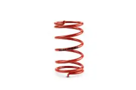 Acquista Ora MOLLA CONTRASTO VARAITORE ROSSA con Ø esterno 45x77 mm - Ø filo 4 mm - k 9,6 - MALOSSI 296955.R0
