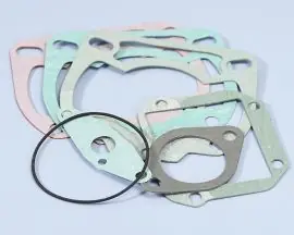 Compra Adesso SERIE GUAR. MOTORE ROTAX 123 (APRILIA 125) - 209.0322
