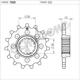 Pignone OgniBene Passo 520 Z 14 Denti - 36.7225.014 Esclusivo