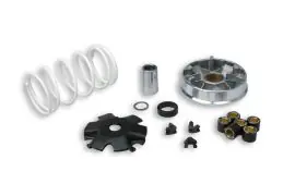 Compra Oggi Stesso VARIATORE MULTIVAR per scooter KYMCO - SYM 4T - MALOSSI 5113790