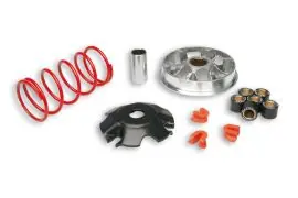 Consegna Rapida Variatore MULTIVAR 2000 per Yamaha D'Elight 4T euro 3 115 cc - MALOSSI 5116287