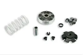 Prezzo Scontato Variatore MULTIVAR 2000 per scooter 4T 50 cc - Variatore Malossi 5111597