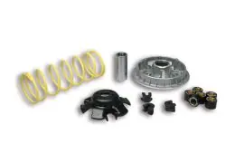 Compra Adesso VARIATORE MULTIVAR 2000 CONF.3 BWS - MALOSSI 5111838