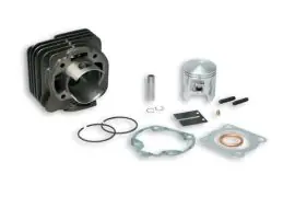 Gruppo termico cilindro ø 47 in ghisa con spinotto ø 10 per Honda 2t 50 cc - MALOSSI 316170 Nuova Collezione