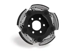 Scelto Dai Clienti FRIZIONE AUTOMATICA non regolabile MAXI FLY CLUTCH per CAMPANA FRIZIONE Ø 160 - MALOSSI 5213296