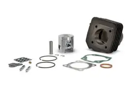 Miglior Prezzo Gruppo termico cilindro ø 47 in ghisa con spinotto ø 10 - MALOSSI 316405