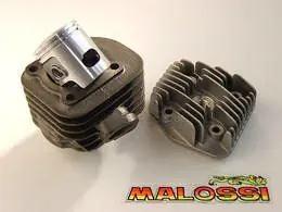 Offerta Del Giorno Gruppo termico ø 47 in ghisa con spinotto ø 10 MALOSSI 317083