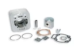 Esclusivo Gruppo Termico - cilindro diametro 65 in alluminio - Aprilia - Piaggio - 2T - Malossi 318236