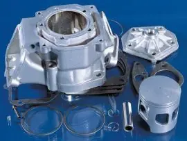 Gruppo termico MOTORE ROTAX 122/123 D.60 (APRILIA 125) - 146.0800 Consegna Rapida