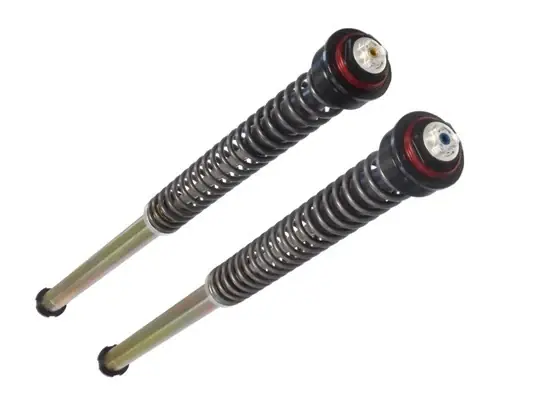 BITUBO CARTUCCIA presurizzata Regolabile DUCATI STREETFIGHTER 1100 2009-2012 Professionale