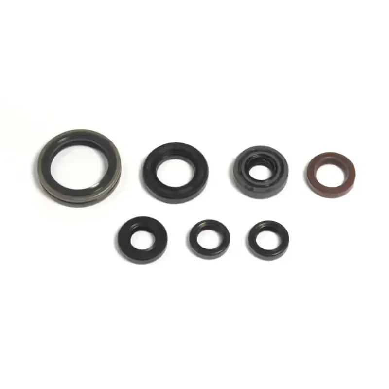ATHENA Kit paraoli motore per YAMAHA WR/YZ 250 2001-2013 GAS GAS EC F 250 2013-2015 Compra Online