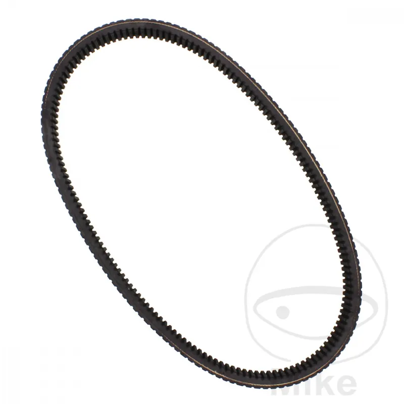 CINGHIA 30X1041 DAYCOHigh performance Polaris ATP 500 HO 4WD Offerta