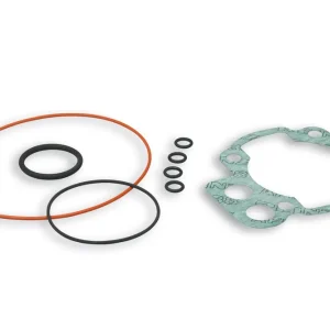 MALOSSI BUSTA GUARN.COMPL. GR.TERM.Ø 50 (O-RING) (MINARELLI AM 3 > 6) Compra Online
