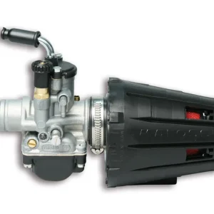 AEON MOTOR COBRA 50 2T (AT70) MALOSSI IMP.ALIM. PHBG 19 BS MHR SCOOTER 50 2t Offerta Del Giorno
