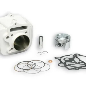 PIT BIKE PIT BIKE 140 4T (LIFAN 1P55FMJ) MALOSSI CILINDRO Ø 56 allum. sp.Ø 15 PIT BIKE 140 4t Miglior Prezzo