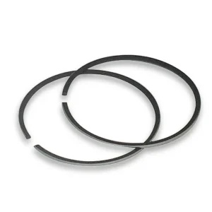 Offerta Speciale MALOSSI 2 SEGMENTI Ø 57,5x1,2 semitrapezoidali