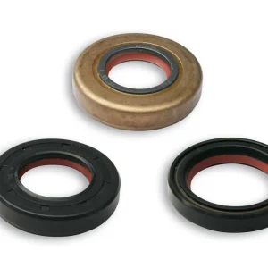 APRILIA MX 50 2T LC (MINARELLI AM 6) MALOSSI SERIE PARAOLIO FKM/PTFE per REVISIONE MINAR./YAMA. moto 50 Non Perdere