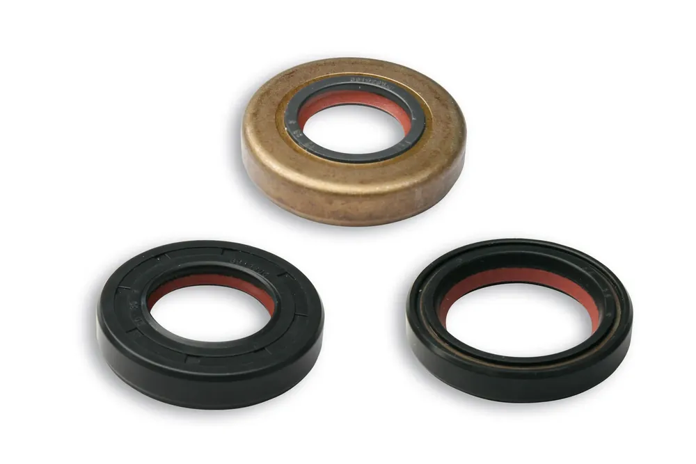 APRILIA MX 50 2T LC (MINARELLI AM 6) MALOSSI SERIE PARAOLIO FKM/PTFE per REVISIONE MINAR./YAMA. moto 50 Non Perdere