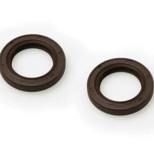 Compra Adesso MALOSSI 2 PARAOLIO Ø 20x30x5 mm FKM/PTFE alb.m.-L/trasm.