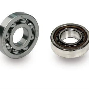 MALOSSI SERIE CUSCINETTI Ø 25 SPORT per alb.m. VESPA T5 125 Miglior Prezzo