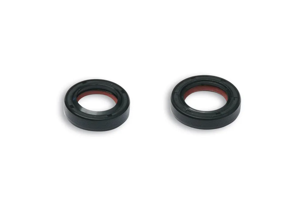 APRILIA MOJITO CUSTOM 50 2T MALOSSI SERIE PARAOLIO FKM/PTFE alb.m. PIAGGIO scooter 50 2T autom. Prezzo Scontato