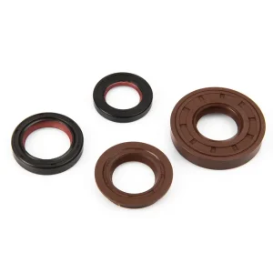 Economico AEON MOTOR COBRA 50 2T (AT70) MALOSSI SERIE PARAOLIO FKM/PTFE per REVISIONE MINAR./YAMA.scooter/QUAD 50 2T