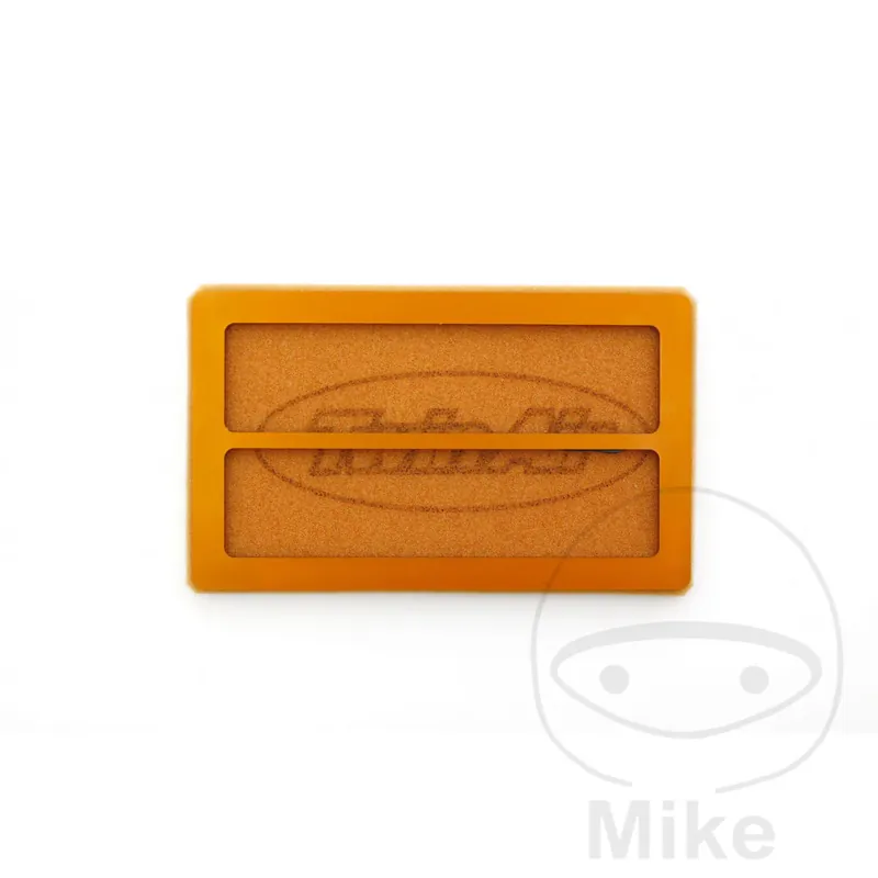 Esclusivo FILTRO ARIA TWIN AIR BMW F 650 800 GS 2008