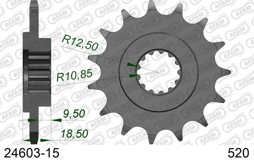 Pignone AFAM 24603-15 passo 520 KAWASAKI Z 750 R 2011 -2012 Acquista Ora