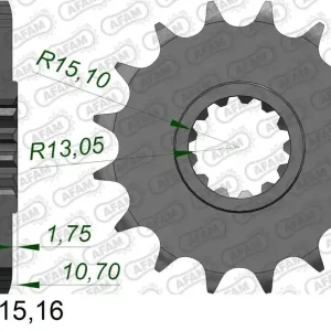 Pignone AFAM 21607NR-16 Passo 525 YAMAHA XTZ 700 D-B TENERE 2020 -2021 Non Perdere