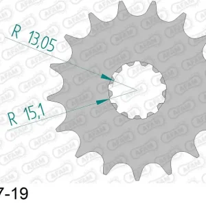 Offerta Lampo Pignone AFAM 88800NR-19 Passo 530 Con Gomma Antirumore TRIUMPH 1050 GT SPRINT ABS 2010 -2016