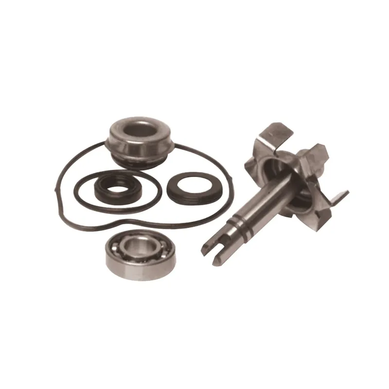 Esclusivo Kit Revisione Pompa Acqua Yamaha T-MAX 500 cc