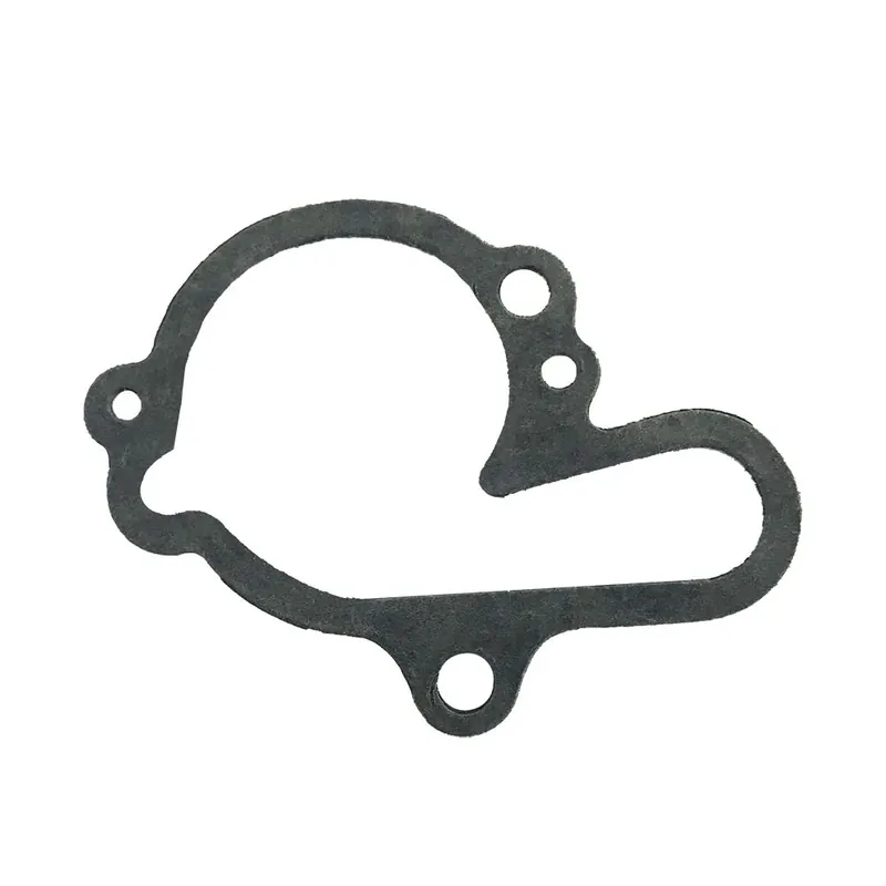 Offerta Del Giorno Guarnizione Pompa Acqua Motori MINARELLI AM6
